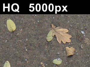 2x leaves on sand 2 high res CG 텍스쳐