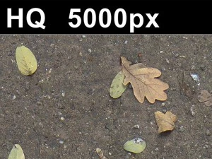 2x листя на піску 2 висока роздільна здатність CG Текстури