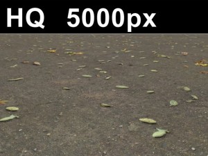 2x leaves on sand 2 high res CG 텍스쳐