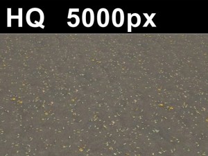 2x leaves on sand 2 high res CG 텍스쳐
