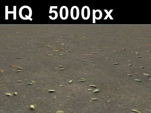 2x leaves on sand 2 high res CG 텍스쳐