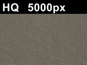 2x leaves on sand 2 high res CG 텍스쳐