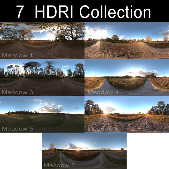 meadow afternoon hdr collection Modello 3D .c4d .max .obj .3ds .fbx .stl .blend 
