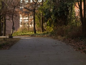 hdr 104 sidewalk photos Modello 3D