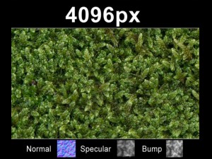 moss 01  high res set CG Texturen