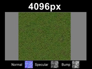 moss 01  high res set Tekstur CG
