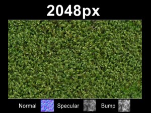 moss 01 set CG Текстуры