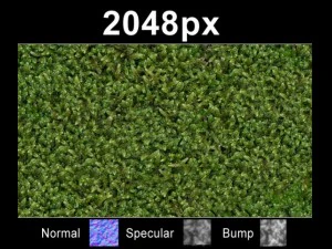 मॉस 01 सेट CG टेक्स्चर्स