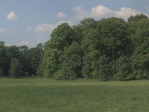 hdr 113 meadow 3Dモデル