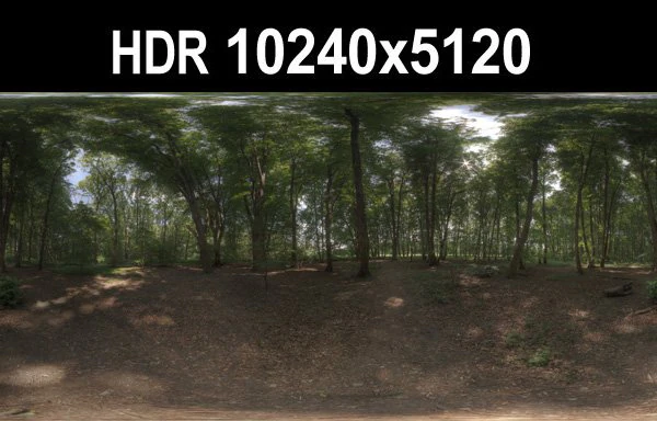 hdr 116 forest sibl CG Textures .c4d .max .obj .3ds .fbx .stl .blend 