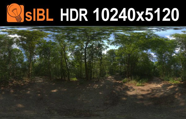 hdr 114 forest sibl CG Textures .c4d .max .obj .3ds .fbx .stl .blend 