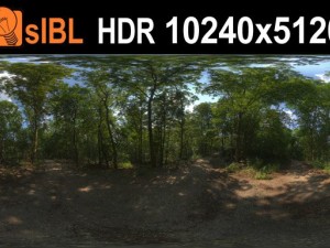 hdr 114 forest sibl Model 3D