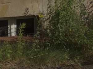 hdr 050 old freight yard sibl CG 纹理