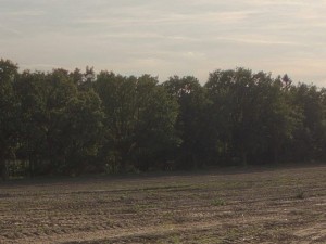 hdr 042 acre sibl 3Dモデル