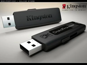kingston datatraveler 2gb Model 3D