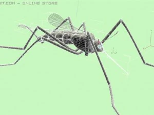 mosquito 3D Model