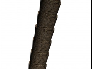 palm tree 3D 模型