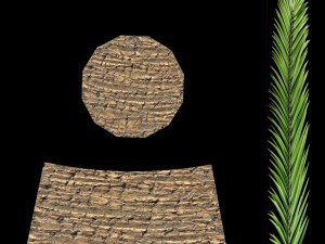 palm tree 3D 模型