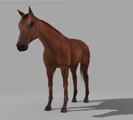 horse 3D Model .c4d .max .obj .3ds .fbx .stl .blend 
