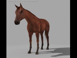 horse 3D-Modell