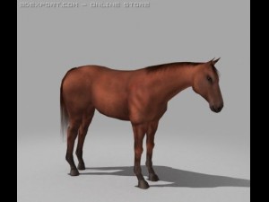 horse Modelo 3D