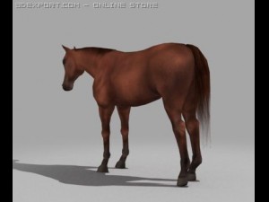 horse Modelo 3D