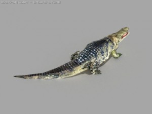 alligator 3D-Modell