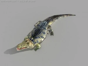 alligator 3D Model