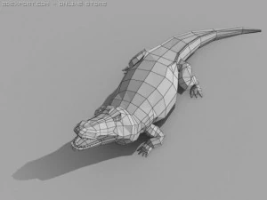 alligator 3D Model