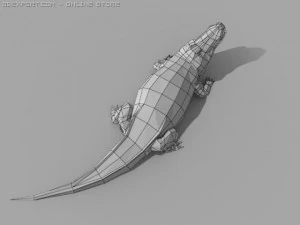 alligator 3D Model