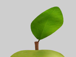 Green apple 3d middle poly model 3D Model