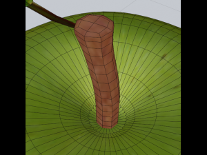 Green apple 3d middle poly model 3D Model