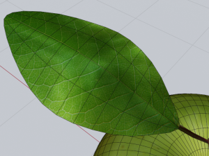 Green apple 3d middle poly model 3D Model
