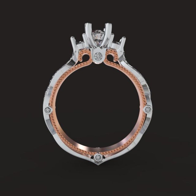 rings 3D 模型 .c4d .max .obj .3ds .fbx .stl .blend 