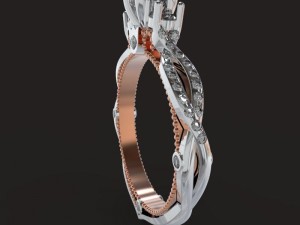 rings 3D 模型