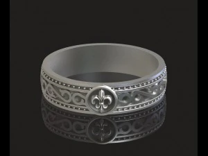 bague en argent élégante avec du noir Modèle 3D