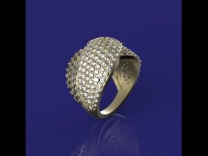 ring with a scattering Modèle 3D