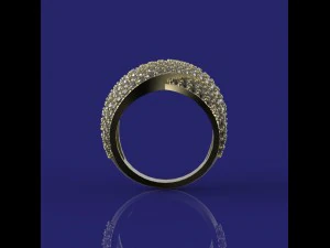ring with a scattering 3D Model
