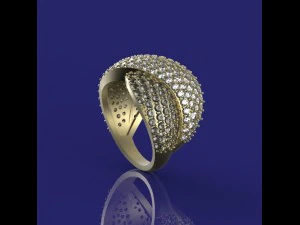 ring with a scattering 3D Model