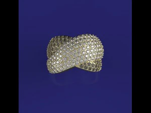 ring with a scattering 3D Model