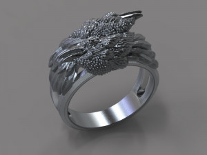crows Modèle 3D