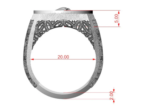 Ring Poor Yorkie 3D Model