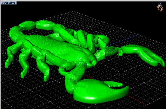 scorpion Modelo 3D .c4d .max .obj .3ds .fbx .stl .blend 