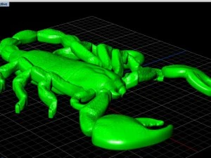 サソリ 3Dモデル