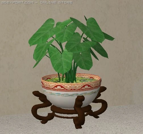 asian plant 3D Model .c4d .max .obj .3ds .fbx .stl .blend 