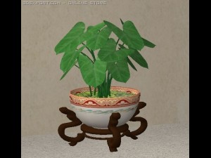 asian plant 3D Model