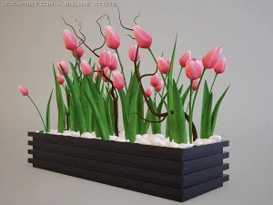 vase with tulips 3D Model