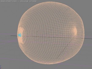 lemon Model 3D
