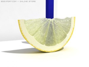 lemon slice Modèle 3D