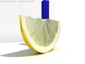 lemon slice 3Dモデル